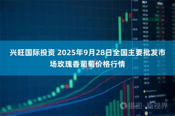 兴旺国际投资 2025年9月28日全国主要批发市场玫瑰香葡萄价格行情